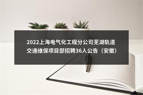 2022上海电气化工程分公司芜湖轨道交通维保项目部招聘36人公告（安徽） 图片