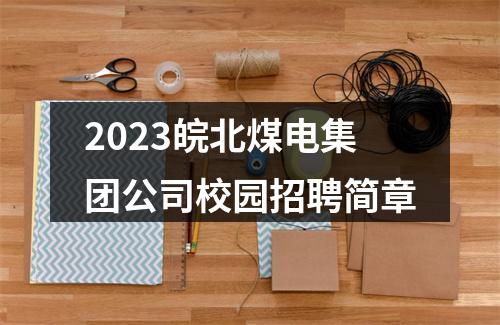 2023皖北煤电集团公司校园招聘简章 图片