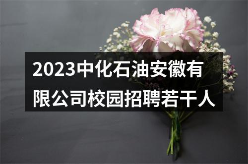 2023中化石油安徽有限公司校园招聘若干人 图片