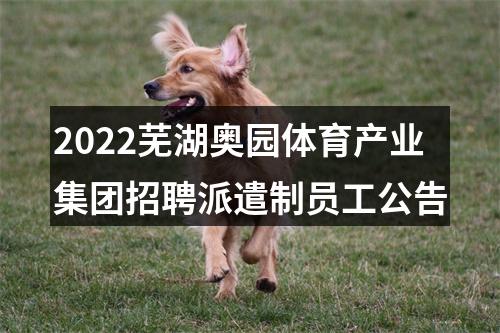 2022芜湖奥园体育产业集团招聘派遣制员工公告 图片