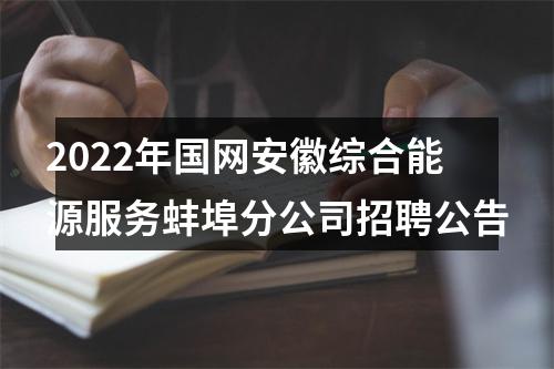 2022年国网安徽综合能源服务蚌埠分公司招聘公告 图片