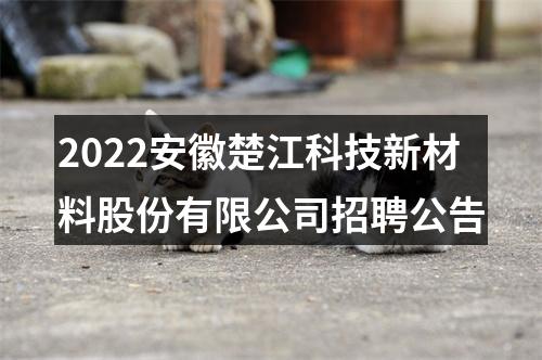 2022安徽楚江科技新材料股份有限公司招聘公告 图片