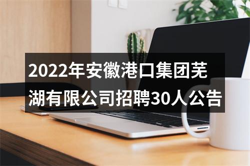 2022年安徽港口集团芜湖有限公司招聘30人公告 图片