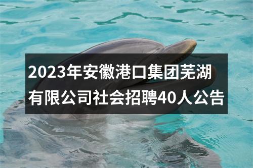2023年安徽港口集团芜湖有限公司社会招聘40人公告 图片