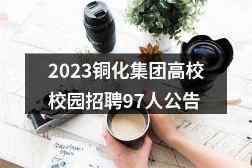2023铜化集团高校校园招聘97人公告 图片