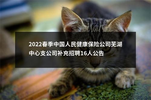 2022春季中国人民健康保险公司芜湖中心支公司补充招聘16人公告 图片