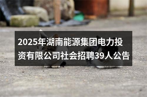 2025年湖南能源集团电力投资有限公司社会招聘39人公告 图片