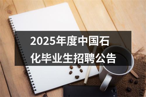 2025年度中国石化毕业生招聘公告 图片