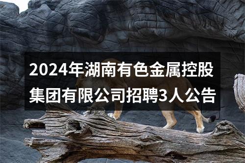 2024年湖南有色金属控股集团有限公司招聘3人公告 图片