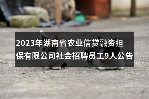 2023年湖南省农业信贷融资担保有限公司社会招聘员工9人公告 图片