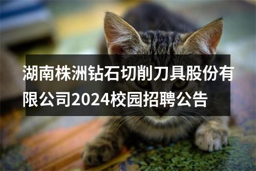 湖南株洲钻石切削刀具股份有限公司2024校园招聘公告 图片