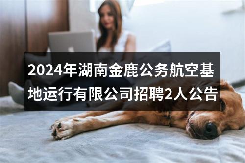 2024年湖南金鹿公务航空基地运行有限公司招聘2人公告 图片