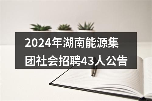 2024年湖南能源集团社会招聘43人公告 图片