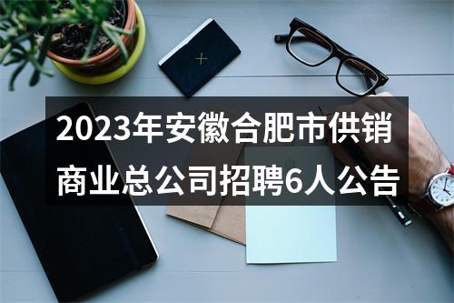 2023年安徽合肥市供销商业总公司招聘6人公告 图片