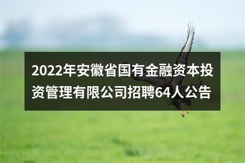 2022年安徽省国有金融资本投资管理有限公司招聘64人公告 图片