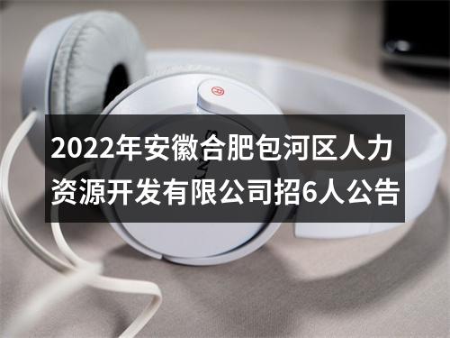 2022年安徽合肥包河区人力资源开发有限公司招6人公告 图片
