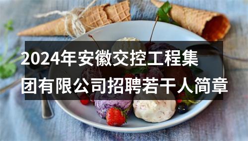 2024年安徽交控工程集团有限公司招聘若干人简章 图片