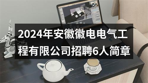 2024年安徽徽电电气工程有限公司招聘6人简章 图片