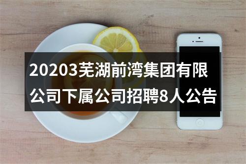 20203芜湖前湾集团有限公司下属公司招聘8人公告 图片