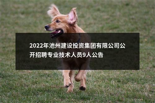 2022年池州建设投资集团有限公司公开招聘专业技术人员9人公告 图片
