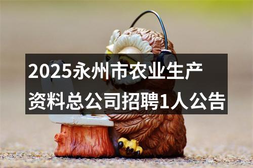 2025永州市农业生产资料总公司招聘1人公告 图片