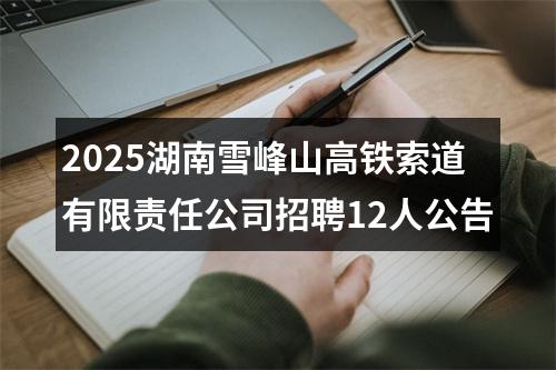 2025湖南雪峰山高铁索道有限责任公司招聘12人公告 图片