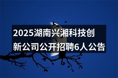 2025湖南兴湘科技创新公司公开招聘6人公告 图片