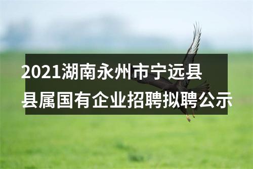 2021湖南永州市宁远县县属国有企业招聘拟聘公示 图片