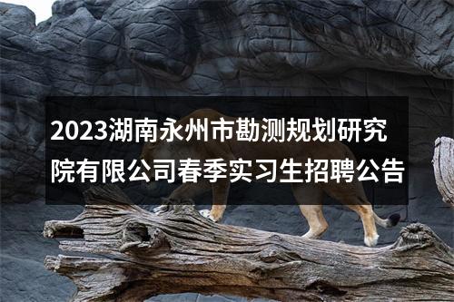 2023湖南永州市勘测规划研究院有限公司春季实习生招聘公告 图片