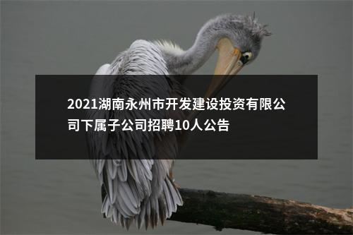 2021湖南永州市开发建设投资有限公司下属子公司招聘10人公告 图片