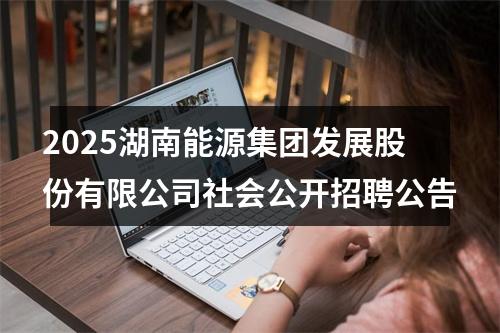2025湖南能源集团发展股份有限公司社会公开招聘公告 图片