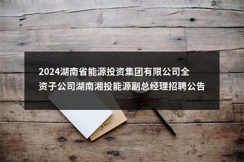 2024湖南省能源投资集团有限公司全资子公司湖南湘投能源副总经理招聘公告 图片