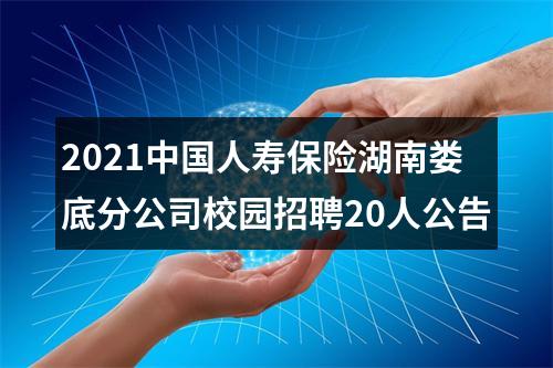 2021中国人寿保险湖南娄底分公司校园招聘20人公告 图片