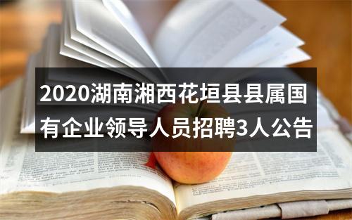 2020湖南湘西花垣县县属国有企业领导人员招聘3人公告 图片