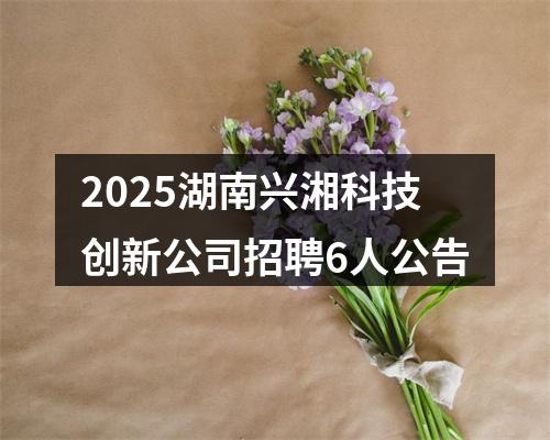 2025湖南兴湘科技创新公司招聘6人公告 图片
