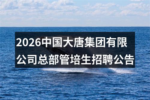 2026中国大唐集团有限公司总部管培生招聘公告 图片