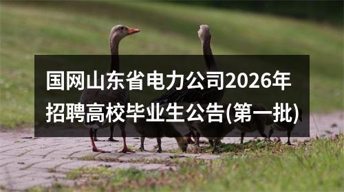 国网山东省电力公司2026年招聘高校毕业生公告(第一批) 图片