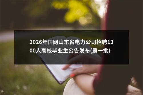 2026年国网山东省电力公司招聘1300人高校毕业生公告发布(第一批) 图片