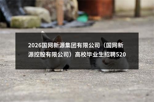 2026国网新源集团有限公司（国网新源控股有限公司）高校毕业生招聘520人公告（第一批） 图片