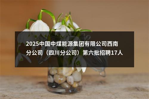 2025中国中煤能源集团有限公司西南分公司（四川分公司）第六批招聘17人公告 图片