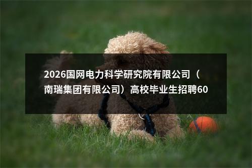 2026国网电力科学研究院有限公司（南瑞集团有限公司）高校毕业生招聘600人公告（第一批） 图片