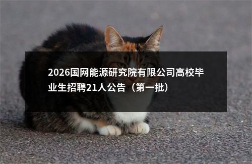 2026国网能源研究院有限公司高校毕业生招聘21人公告（第一批） 图片