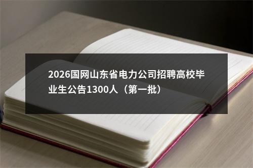 2026国网山东省电力公司招聘高校毕业生公告1300人（第一批） 图片