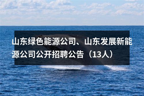 山东绿色能源公司、山东发展新能源公司公开招聘公告（13人） 图片