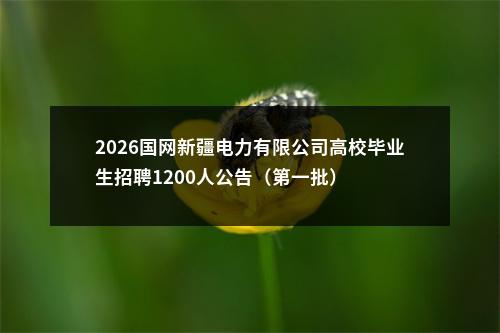 2026国网新疆电力有限公司高校毕业生招聘1200人公告（第一批） 图片