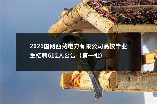 2026国网西藏电力有限公司高校毕业生招聘612人公告（第一批） 图片