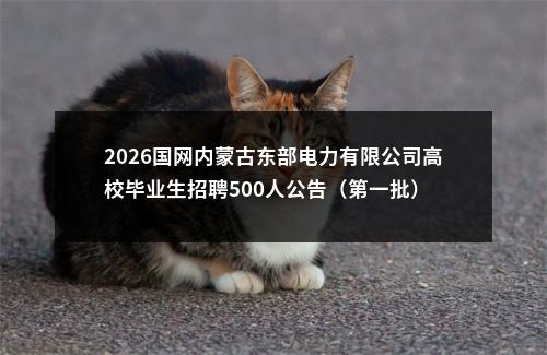 2026国网内蒙古东部电力有限公司高校毕业生招聘500人公告（第一批） 图片