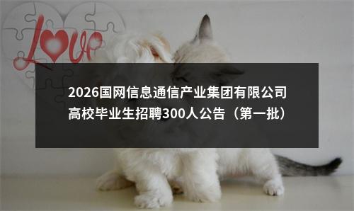 2026国网信息通信产业集团有限公司高校毕业生招聘300人公告（第一批） 图片
