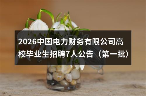 2026中国电力财务有限公司高校毕业生招聘7人公告（第一批） 图片