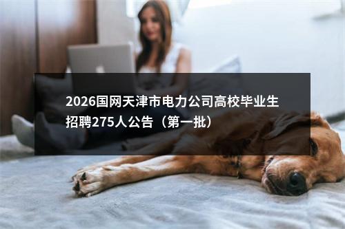 2026国网天津市电力公司高校毕业生招聘275人公告（第一批） 图片